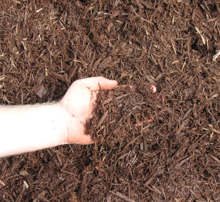 A hand holding a handful of brown mulch, surrounded by a larger pile of mulch.