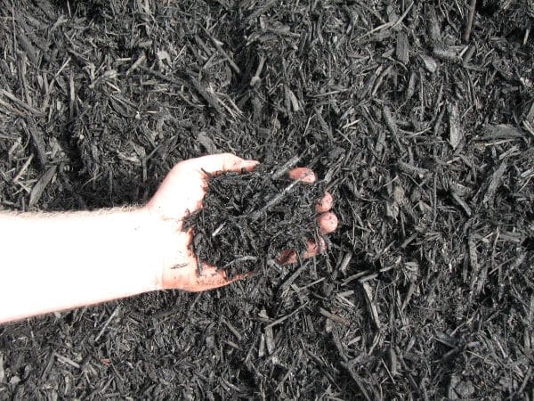 Black dyed mulch