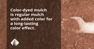 Mulch: Everything You Need To Know 3