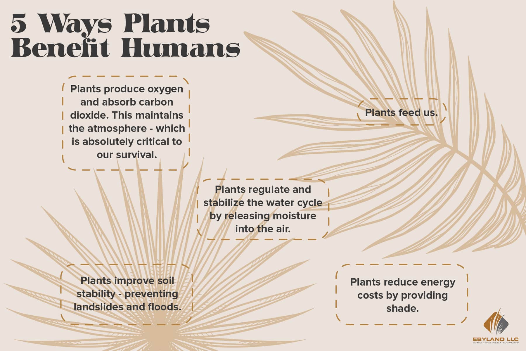 How plants benefit humans