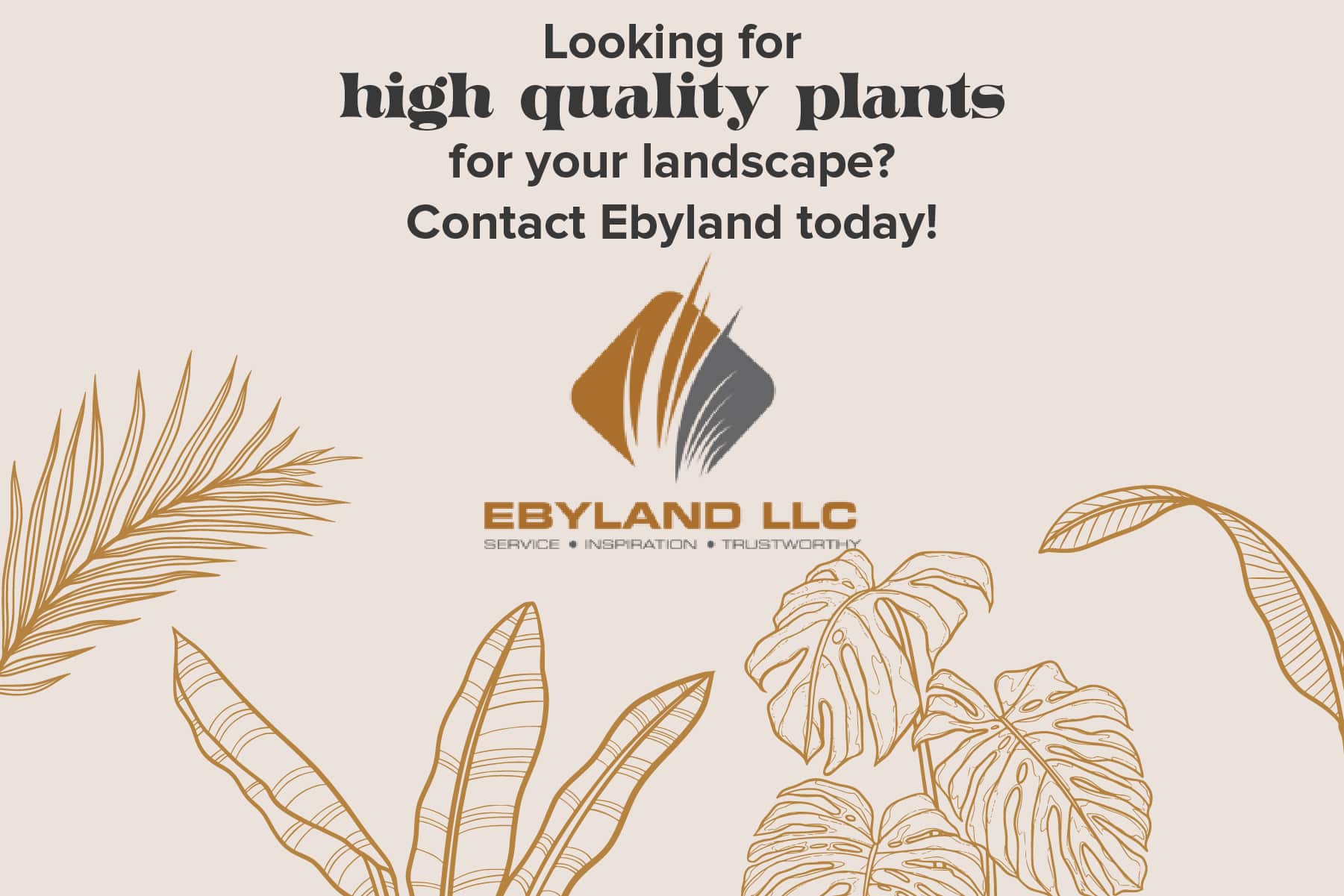 buy high quality plants from ebyland