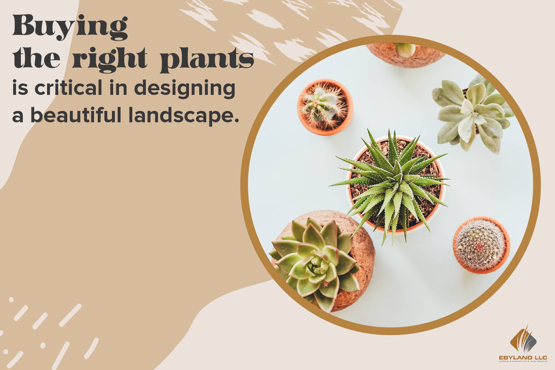 buying the right plants is critical in designing a beautiful landscape