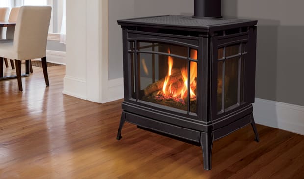 Berkeley Gas Freestanding Stove by Enviro 1