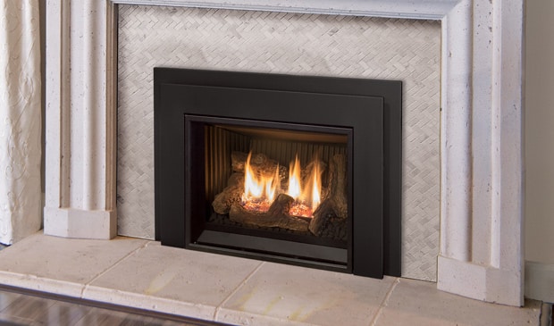 E20 Gas Fireplace Insert