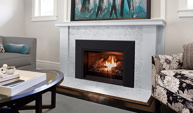 E25 Gas Fireplace Insert