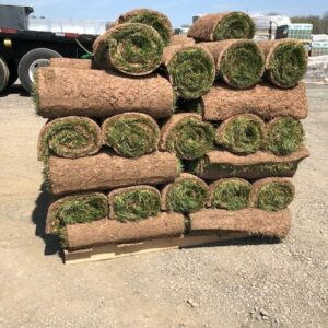 Picture of sod rolled up, ready for sale for landscaping purposes.