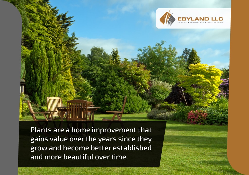 plants are a home improvement that gains value over time