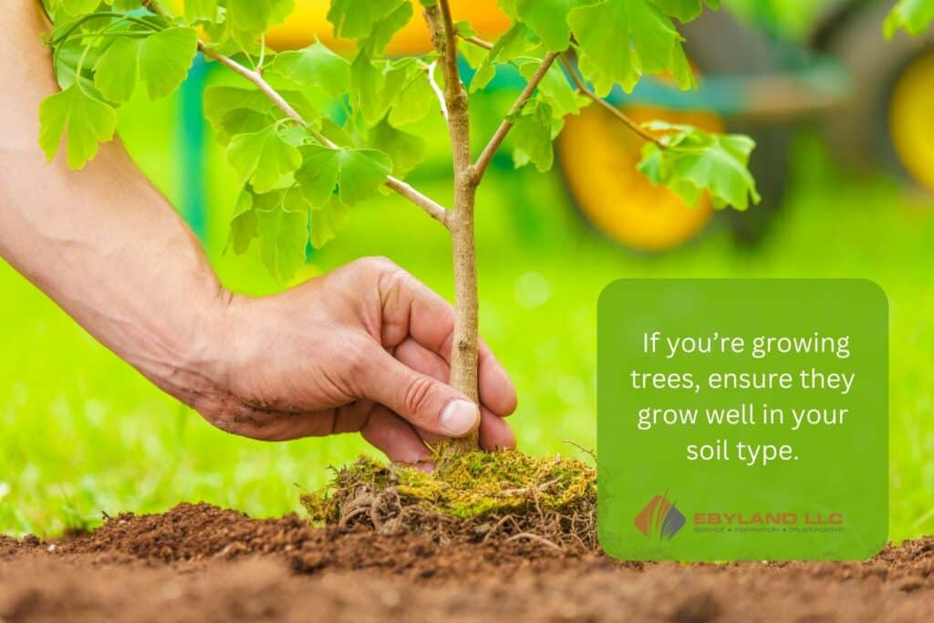 Choosing The Right Plants For Your Garden: Seven Crucial Things To Consider