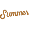 A stylized script word "Summer" in orange-brown color on a transparent background.