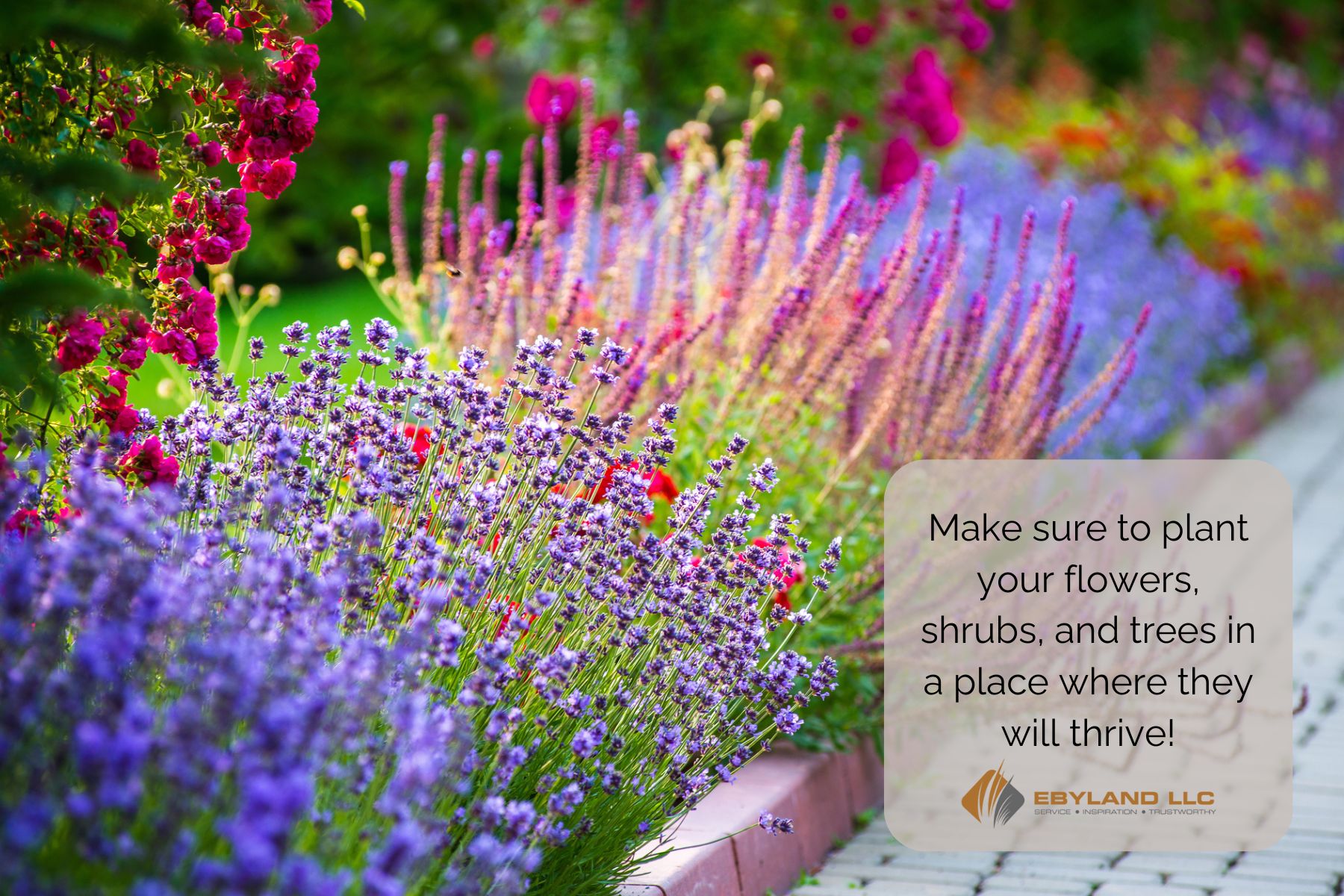 A vibrant garden with colorful flowers and shrubs along a paved pathway. Text overlay reads, "Make sure to plant your flowers, shrubs, and trees in a place where they will thrive!" with EBYLAND LLC logo.