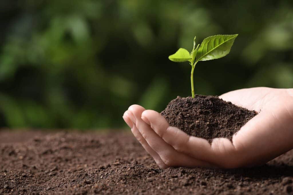 Seasonal Soil Care: A Comprehensive Guide to Healthy Soil 1