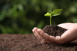 Seasonal Soil Care: A Comprehensive Guide to Healthy Soil 1