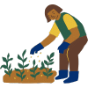 summer soil care