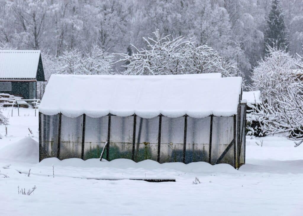 The Complete Winter Greenhouse Prep Checklist 1