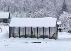 The Complete Winter Greenhouse Prep Checklist 1