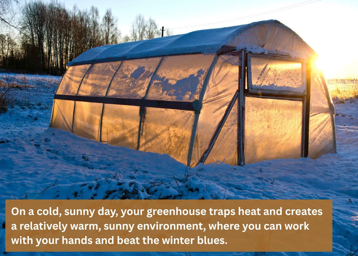 Small greenhouse covered in snow during winter season.