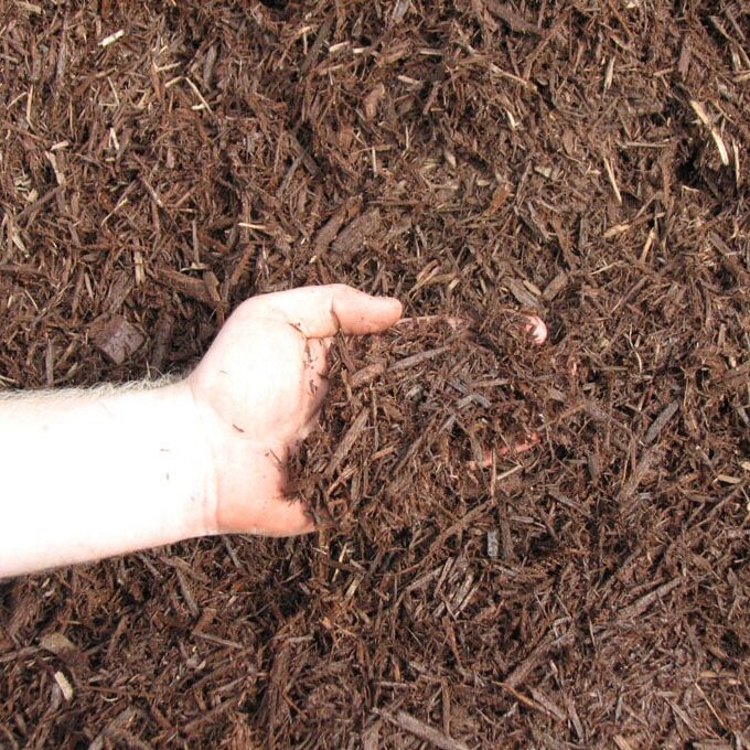 A hand holding a handful of brown mulch, surrounded by a larger pile of mulch.