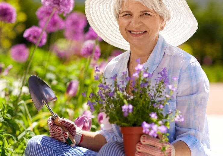 An elderly woman wearing a white sunhat and gardening gloves, holding a potted plant and a trowel, is smiling in a plant nursery greenhouse surrounded by blooming purple flowers.