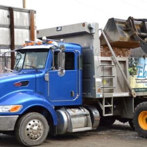 A blue dump truck is being loaded with gravel by a front loader. The truck bears a company logo for landscaping services.